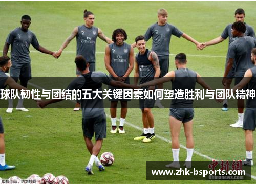 球队韧性与团结的五大关键因素如何塑造胜利与团队精神