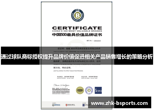 通过球队商标授权提升品牌价值促进相关产品销售增长的策略分析